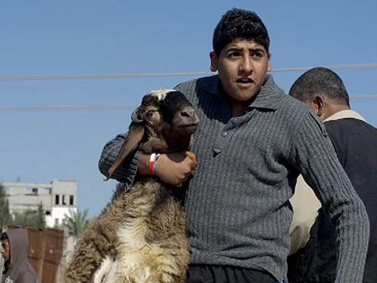 “Kurban Sejati” Umat, Demi Baitul Maqdis